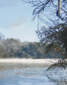 Savannah River at Brighams Landing, Burke County, Georgia Photograph by Alan M. Cressler, U.S. Geological Survey. 