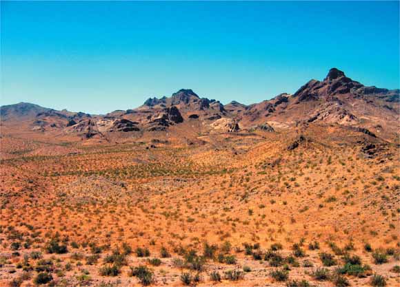 photo of desert landscape with mountains in the background