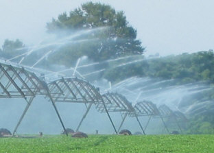 Center-pivot irrigation system in peanut field, Baker County, Georgia. Photograph by L. Elliott Jones, U.S. Geological Survey. 