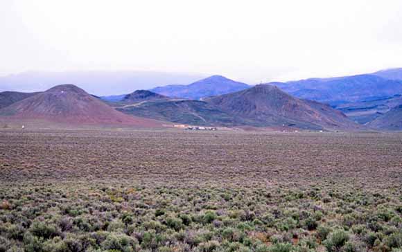 photo of purple sagebrush in the foreground and hills in the background
