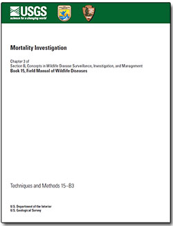 Thumbnail of and link to report PDF (586 KB)