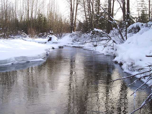 photo of the upstream view of Ship Creek below fish hatchery near Anchorage