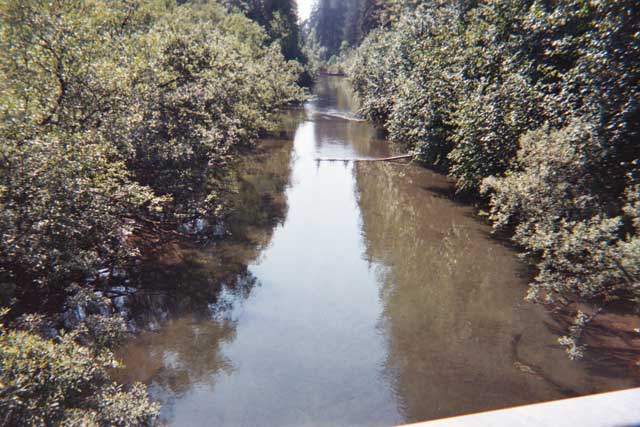 photo of view downstream at Montana Creek near Auke Bay