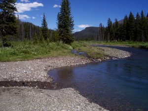 Photograph of tributaries flowing into Soda Butte Creek.