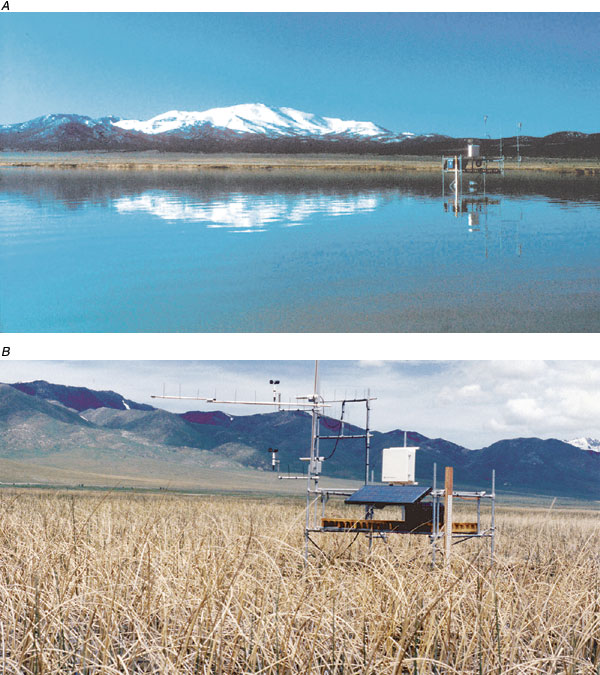 Photographs showing typical wetland habitats in Ruby Lake National Wildlife Refuge, northeastern Nevada: (A) Open-water site established over open water; and (B) bulrush-marsh site established over moderate-to-dense cover of bulrush (<i>Scirpus robustus</i>) with scattered cattails (<i>Typha</i> spp.).