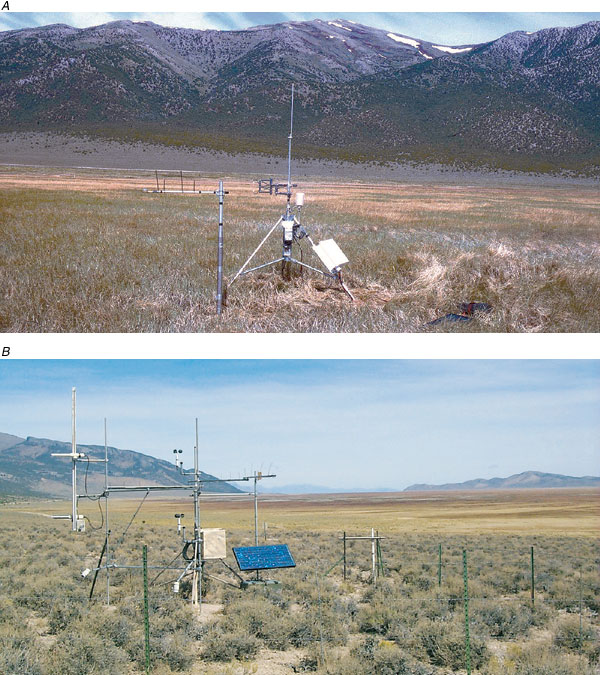Photographs showing typical meadow and desert-shrub upland habitats in Ruby Lake National Wildlife Refuge, northeastern Nevada: (A) Meadow site, established over dense cover of primarily sedges (Carex spp.), rushes (Juncus spp.), and some grasses; and (B) desert-shrub upland site, established over moderate cover of black sagebrush (Artemisia nova) and green rabbitbrush (Chrysothamnus viscidiflorus). Depth to water probably greater than 80 feet.