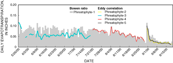 Graph showing daily evapotranspiration computed from micrometeorological data collected at five sites in mixed phreatophytic-shrub habitat, May-October 2000, Ruby Lake National Wildlife Refuge, northeastern Nevad