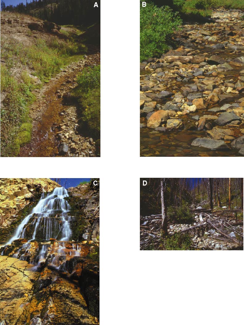 Figure 3.  The diverse character of the 
streambed in the Miller Creek watershed, Montana:  A.  Upper study reach (site 190) where 
the channel is composed of gravel and cobbles.  B.  Near mid-basin (site 7,120) where 
the channel is composed mostly of large cobbles and scattered boulders.  C.  Near the 
downstream end of the lower study reach (site 14,505) where a small waterfall exists 
on exposed  bedrock.  D.  At the downstream end of the study reach (site 14,930) where 
the channel is composed of cobbles, boulders, and woody debris.  Photographs A and D by 
D.A. Nimick; photographs B and C by J.H. Lambing, U.S. Geological Survey.