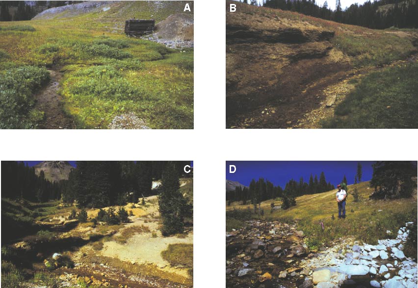 Figure 8.  Possible sources of metals to Miller Creek, Montana:  A.  The Black Warrior Mine located in the upper study reach.  B.  A natural  ferricrete deposit adjacent to Miller Creek, near site 1,850.  C.  Mine waste at Miller Creek dump 1.  D.  Left-bank inflow (site 6,465), with aluminum staining near the middle of the study reach.  This inflow had the highest total-recoverable copper concentration of any site sampled in the Miller Creek watershed during this study.  Photographs by D.A. Nimick.