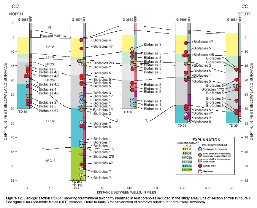 Figure 12. Geologic section CC-CC’ showing foraminiferal taxonomy identified in test coreholes included in the study area. Line of section 