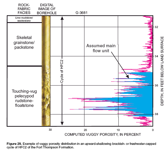 Figure 29 example of vuggy porosity distribution in an upward-shallowing  brackish- or freshwater-capped cycle of HFC2 of the Fort Thompson Formation