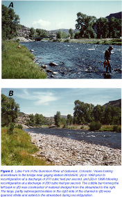 Figure 2. Lake Fork of the Gunnison River at Gateview, Colorado