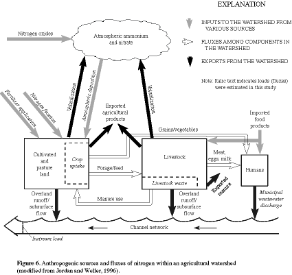 Figure 6. Anthropogenic sources and fluxes of nitrogen within an agricultural watershed.
