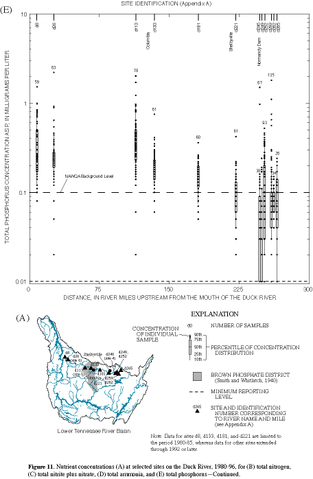 Figure 11. Nutrient concentrations (A) at selected sites on the Duck River, 1980-96, for (B) total nitrogen, (C) total nitrite plus nitrate, (D) total ammonia, and (E) total phosphorus--Continued.