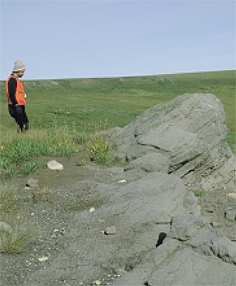 Photograph of oil-stained sandstone near crest of
 Marsh Creek anticline, 1002 area.