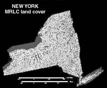 New York land cover mapping
