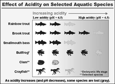 Effect of acidity on aquatic species