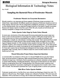 Thumbnail of publication and link to PDF (308 kB)