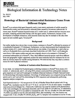 Thumbnail of publication and link to PDF (241 kB)