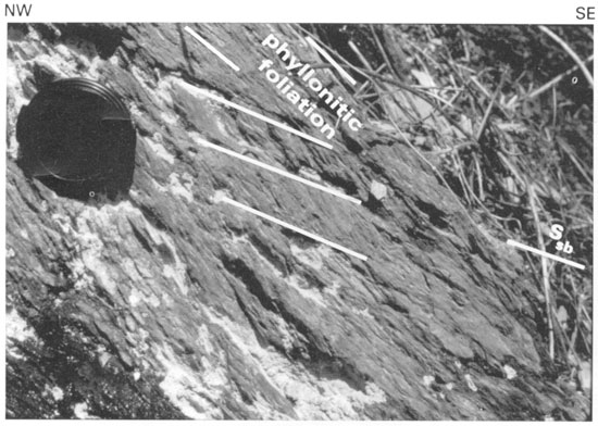 Shear band cleavage in rocks of Harpers Formation