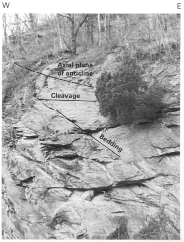 Anticline in Harpers Formation