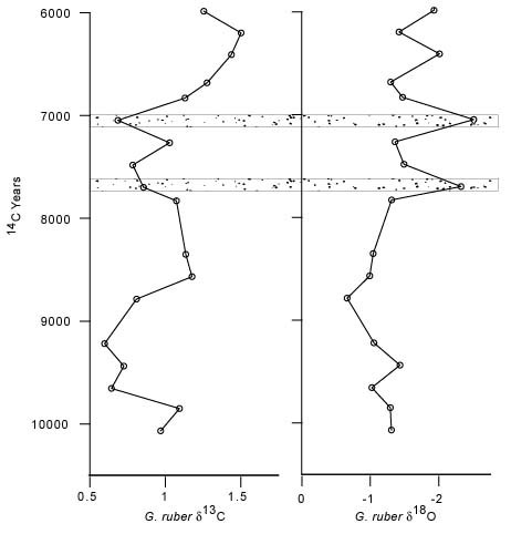 Chart showing values of delta to the thirteenth power C (left panel) and delta to the eighteenth power O values (right panel) for Globigerinoides ruber (a surface-dwelling planktic foraminifer) plotted against radiocarbon years from ODP 619A in Pigmy Basin, Gulf of Mexico