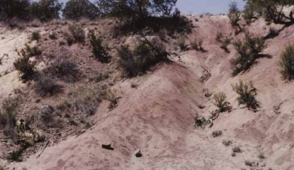 photograph of hillslope made of clay