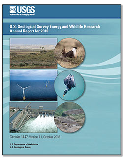 Publication Thumbnail