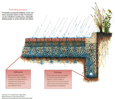 Illustration of permeable pavement and water movement during rainfall.