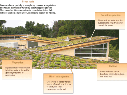 Green roof example with labels showing how it affects the environment.