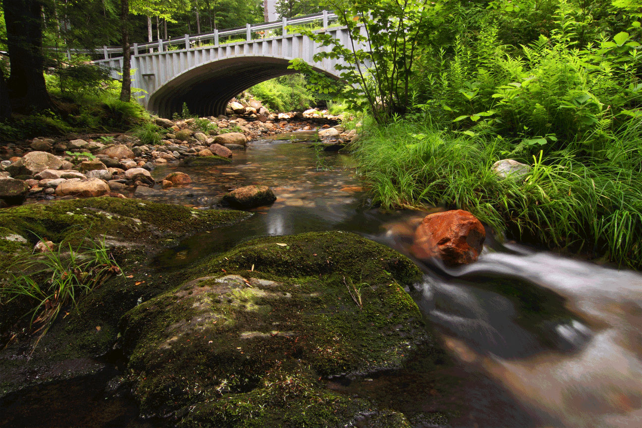 Bronson Brook at Dingle Road in Worthington, Massachusetts, after a stream crossing
                        replacement in 2008. Photograph by Paul Nguyen; used with permission.