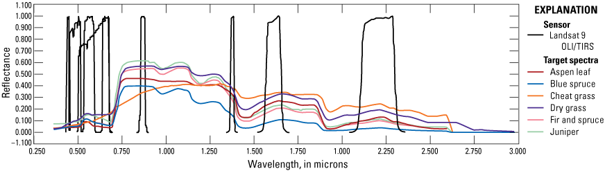 Reflectance was highest for all species between 0.75 and 1.35 nanometers.