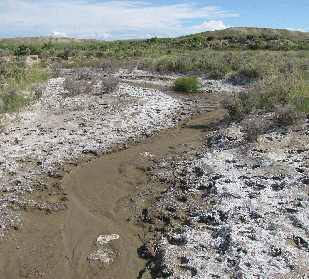 A dark narrow creek seems almost dry and curves in an arid landscape under a blue
                     sky. White patches beside the creek are salt crusts.