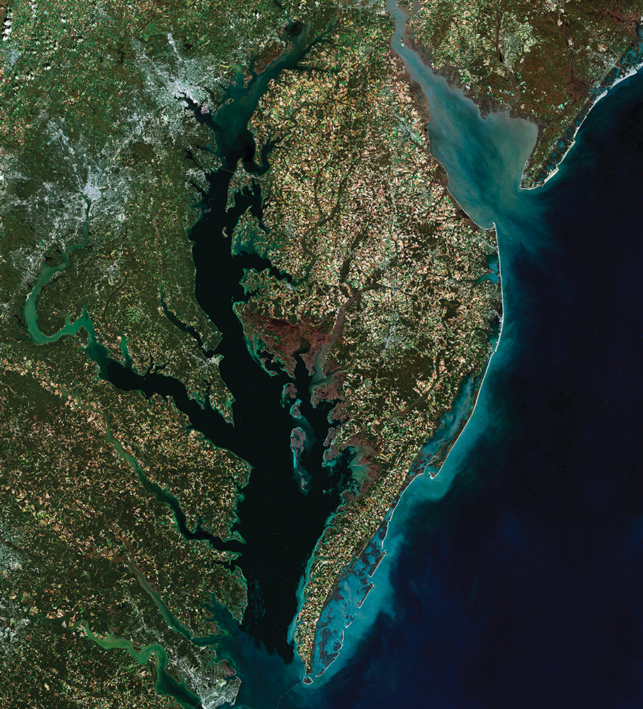 The Landsat mosaic shows land and water areas of the coast of Chesapeake Bay.