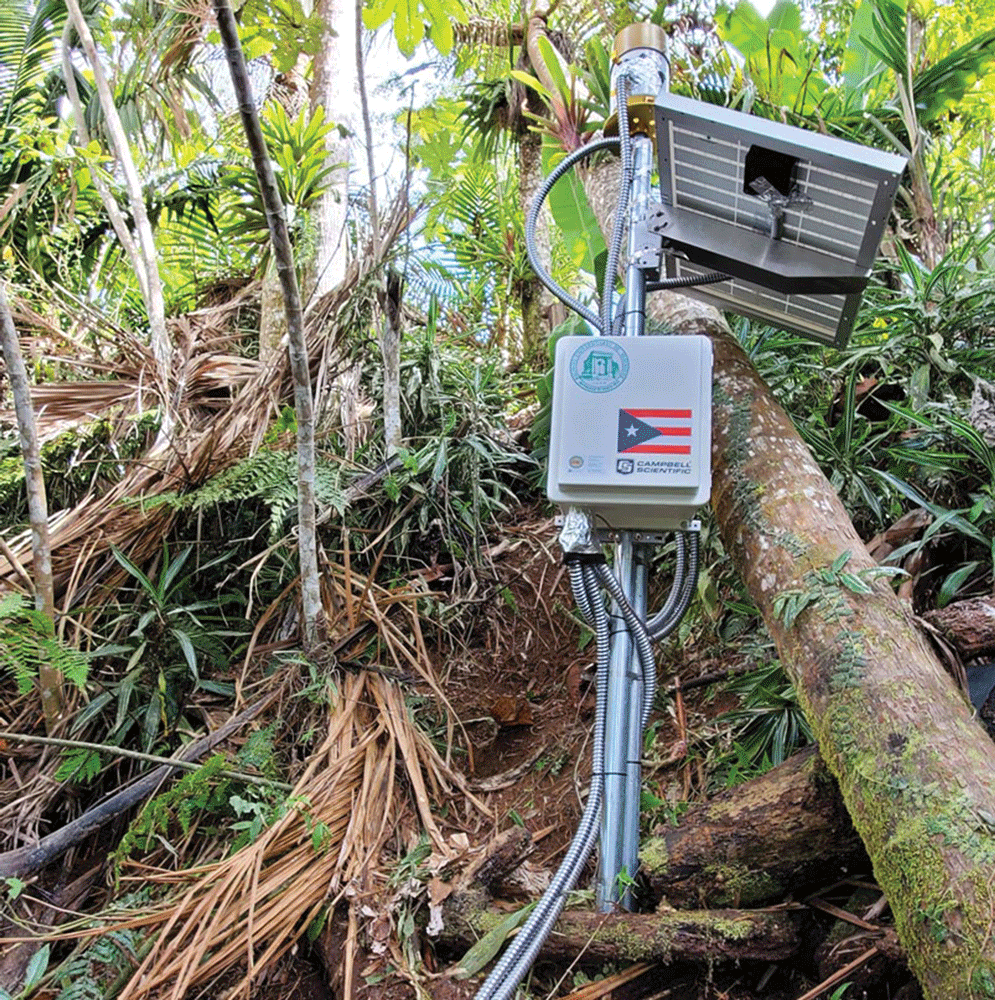 A metal post that supports monitoring equipment is on a slope with palm trees.