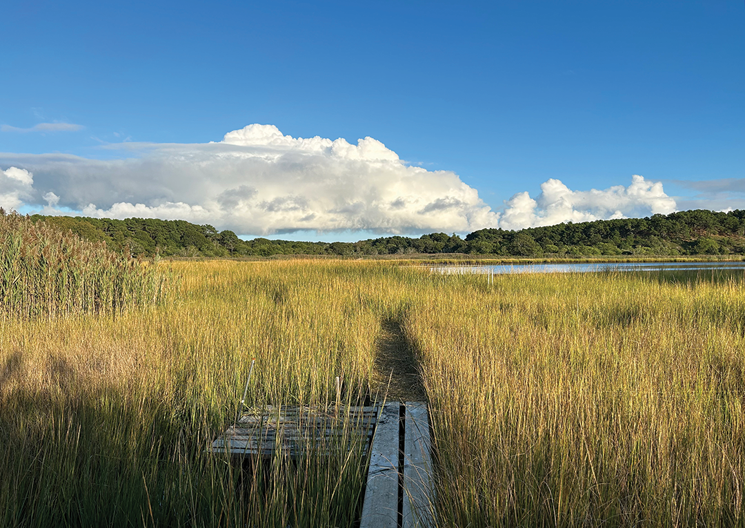 A salt marsh along the Herring River at the National Park Service’s Cape Cod National
                        Seashore in Massachusetts. U.S. Geological Survey scientists and partners are applying
                        the mineral olivine to the marsh to study its role in capturing carbon dioxide in
                        tidal wetlands.