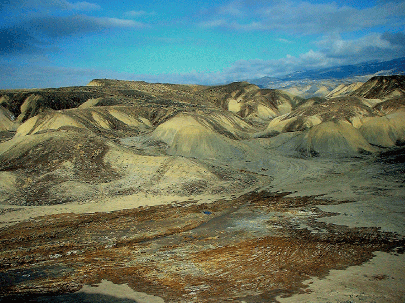 Mancos Shale landscape in western Colorado showing unirrigated adobe hills of Mancos
Shale and soils that are saturated from canal leakage and (or) irrigation.