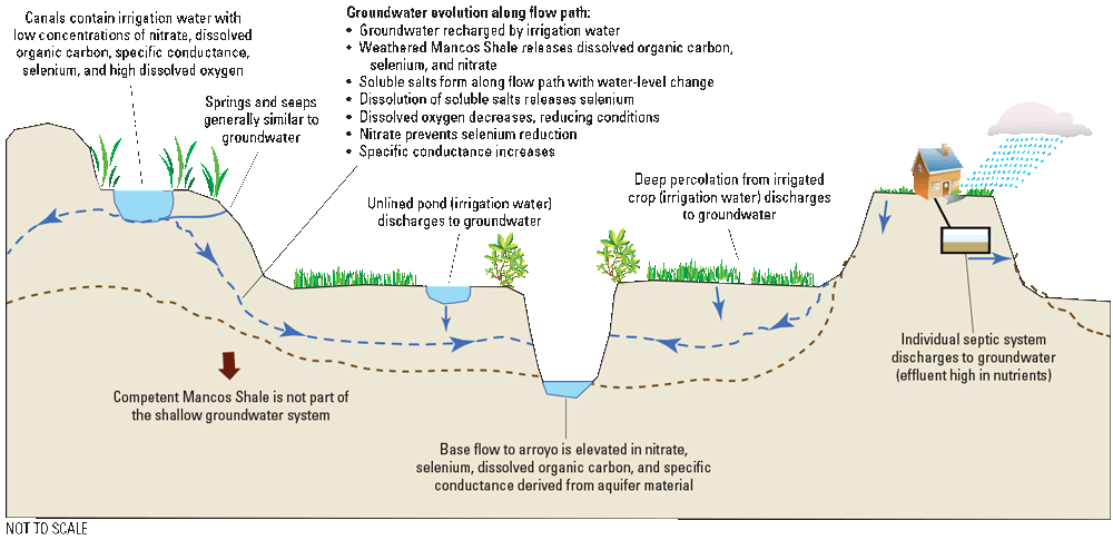 Geologic source and mobilization and transport of selenium in the lower Gunnison River
Basin.