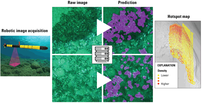 Figure 3 alt text. A depiction of an autonomous underwater vehicle, two example images
                        captured by that vehicle, and a hotspot map generated by AI from those images.