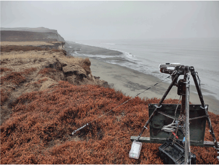 A camera on a tripod is in the foreground on a cliff with plants and a sandy beach
                        is in the background.