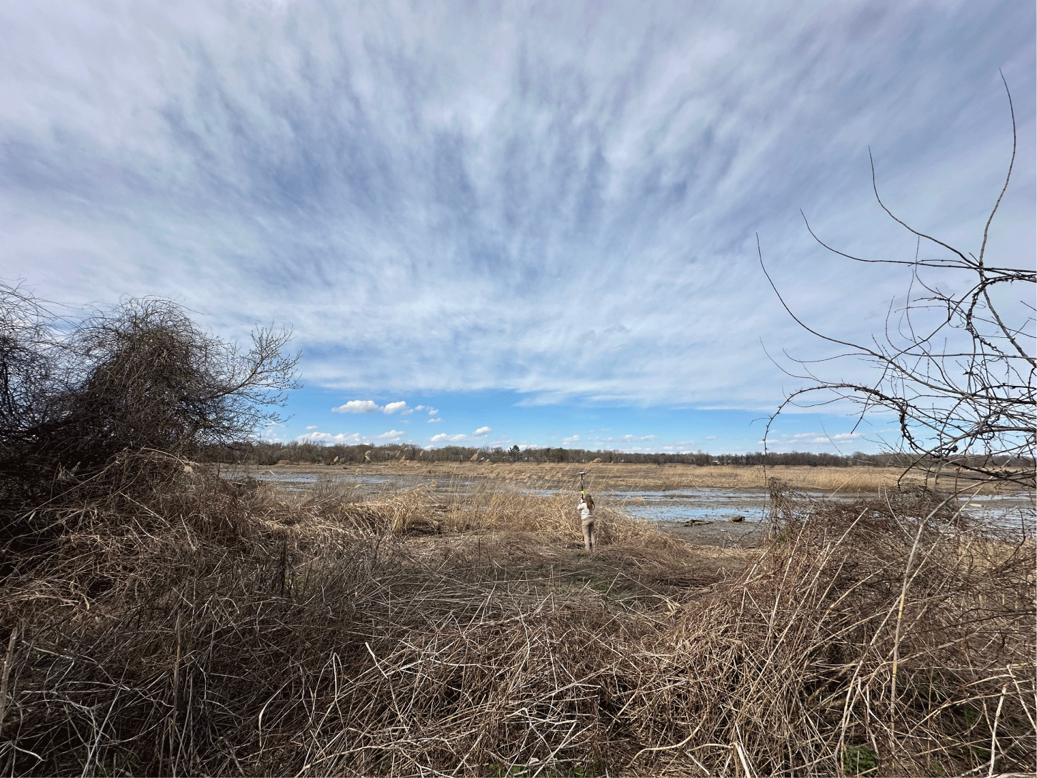 A researcher stands on dry part of an expanse of wetland, holding upright a global
navigation satellite system receiver.