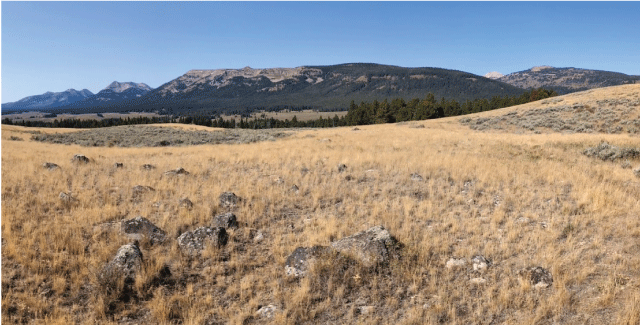 16. A brown grassy field with scattered boulders in the foreground and forested mountains
in the distance under a blue sky.