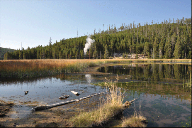 30. A lake with a steam vent and a forested hill in the distance.