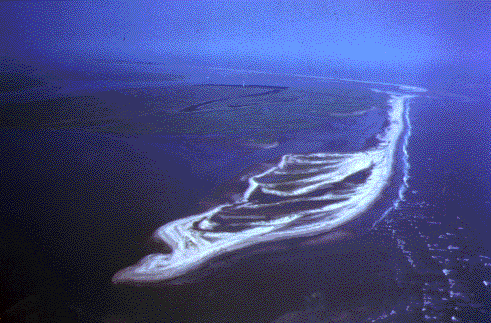 Photo of barrier spit
