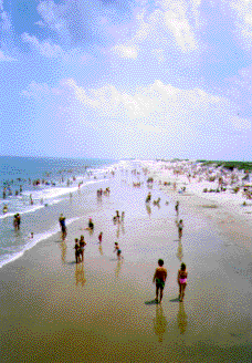 Sandbridge, Virginia