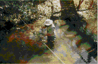 Photo of sampler taking a flow measurement