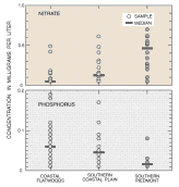 Plot of nitrate and phosphorus concentrations by region