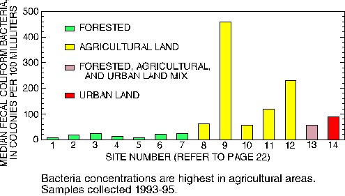 Bar chart of bacteria concentrations