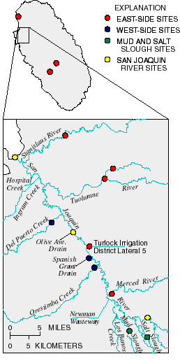 Map showing sampling sites