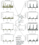 Bar chart: Monthly total precipitation and monthly median streamflow